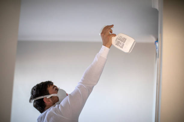Best Emergency Mold Removal  in Hampshire, IL