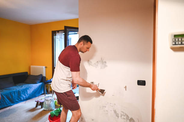 Best Office Mold Removal Services  in Hampshire, IL