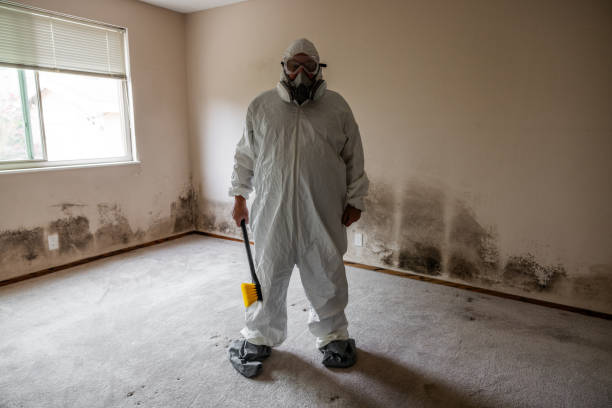 Water Damage Restoration in Hampshire, IL